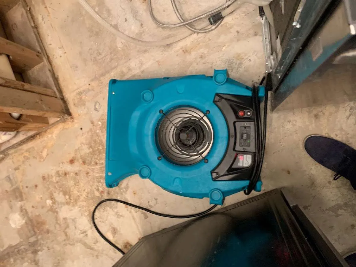 Air mover drying equipment for Mold Remediation & Removal in Visalia